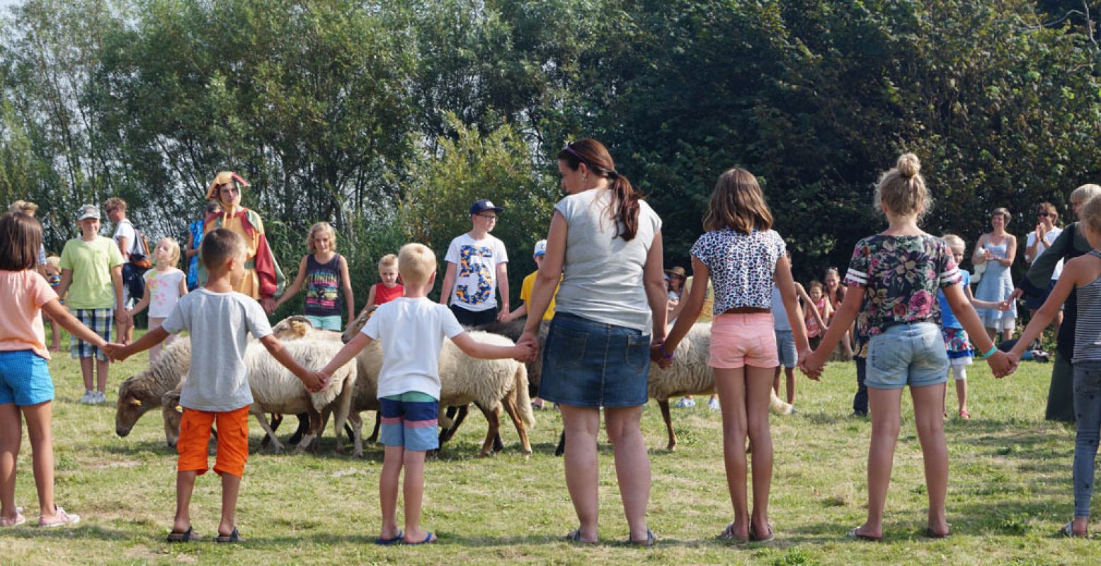 Het publiek mag de herder helpen tijdens de demonstratie schapen drijven. Foto: DagjeWeg.NL