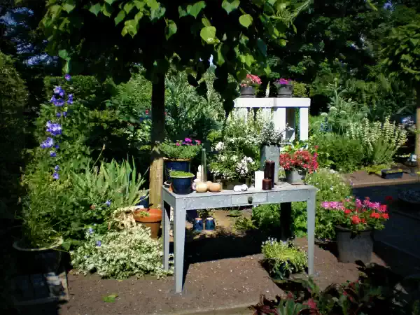 Tuin van Carla, Foto Carla