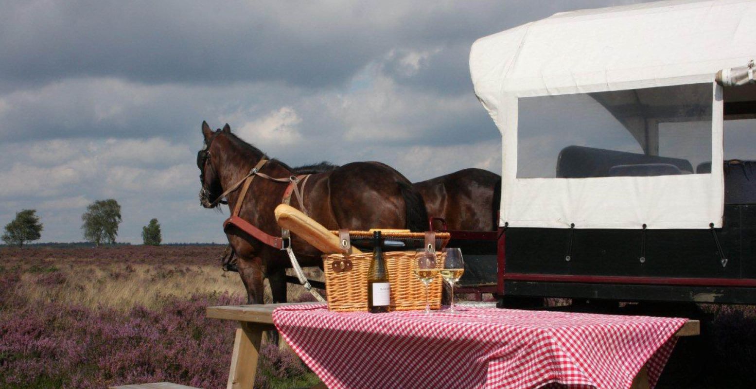 Kies voor een huifkartocht met picknick op de Veluwe. Foto: Stalhouderij Wouter Hazeleger