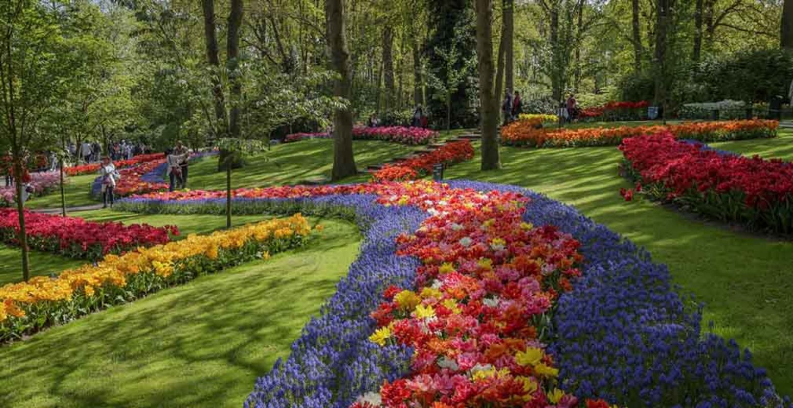 Zwijmelen in een zee van bloemen. Zucht... Foto: Keukenhof.