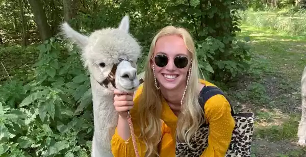 Knuffel, wandel en drink thee met alpaca_s bij deze uitjes