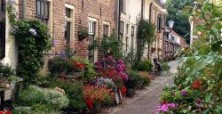 Zomerse romantiek: zwijmel weg bij deze uitjes