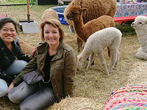 Alpaca Tea Time Foto: DagjeWeg.NL.