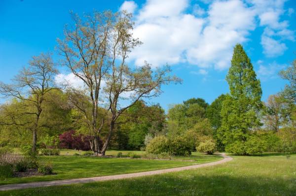 Wandel met gids door arboretum Poort Bulten Wandel met gids door arboretum Poort Bulten | Foto ge&uuml;pload door gebruiker Natuurmonumenten.