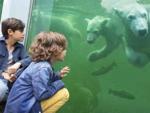 Op avontuur in Ouwehands Dierenpark Rhenen