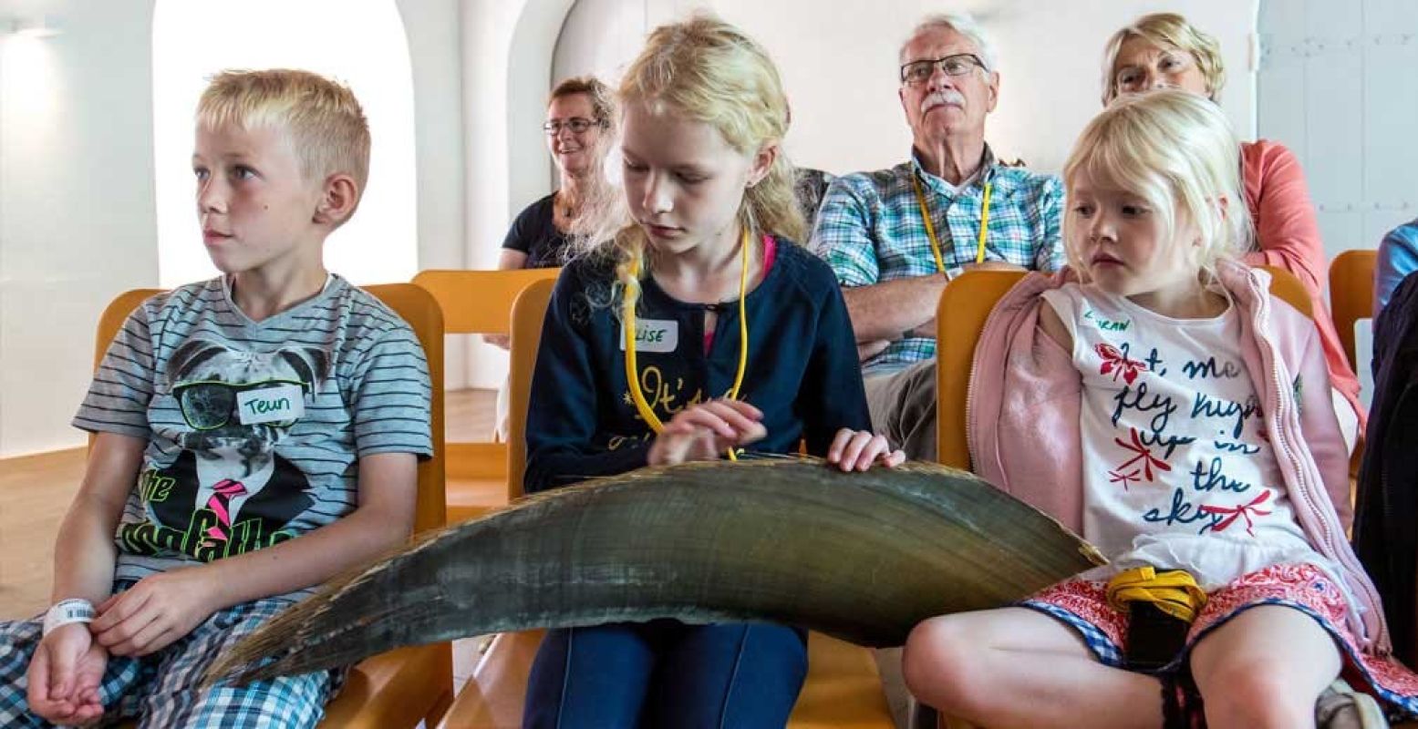 Ontdek alles over de walvis tijdens een familiecollege. Foto: Het Scheepvaartmuseum.