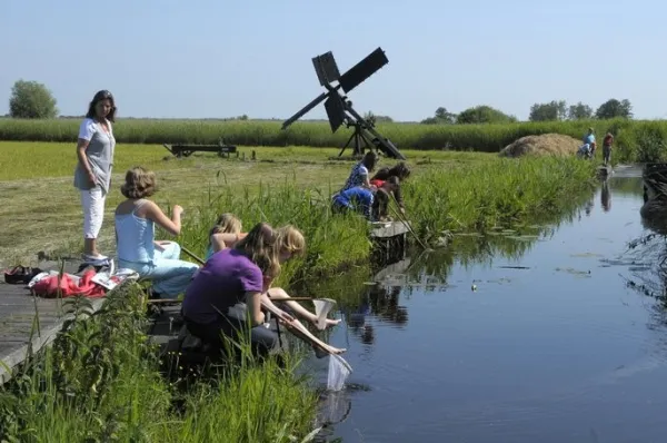 Op safari in De Wieden