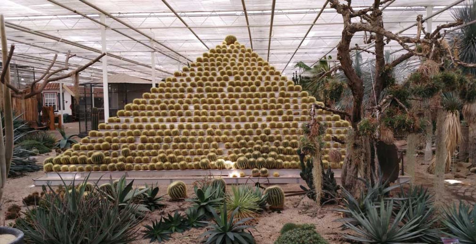 In deze piramide van cactussen vindt je een stenenverzameling!