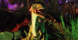 Spelen tussen dino's in het duister