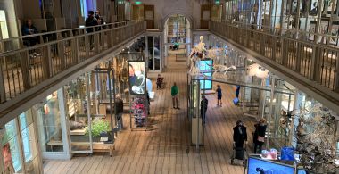 Reportage: alles is verbonden in het Groote Museum