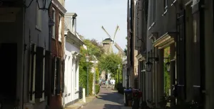 Reis door de mooie dorpjes en stadjes aan de Vecht Een kijkje richting Korenmolen De Hoop in Loenen. Foto: DagjeWeg.NL © Tonny van Oosten