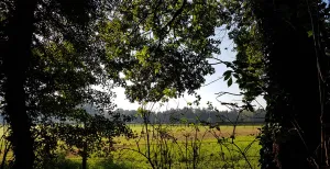 Ontdek 5 bijzondere wandelingen