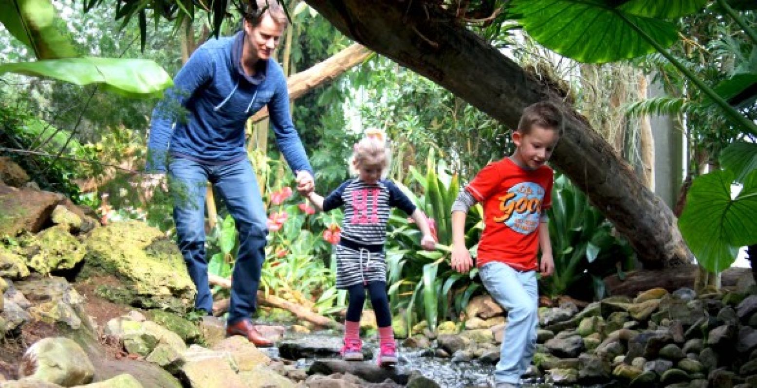 Ga samen op ontdekkingstocht in het tropische regenwoud van de Orchideeën Hoeve.