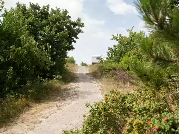 Wandel door de duinen heen. Foto: Duincamping De Lepelaar © Quinty Matakupan