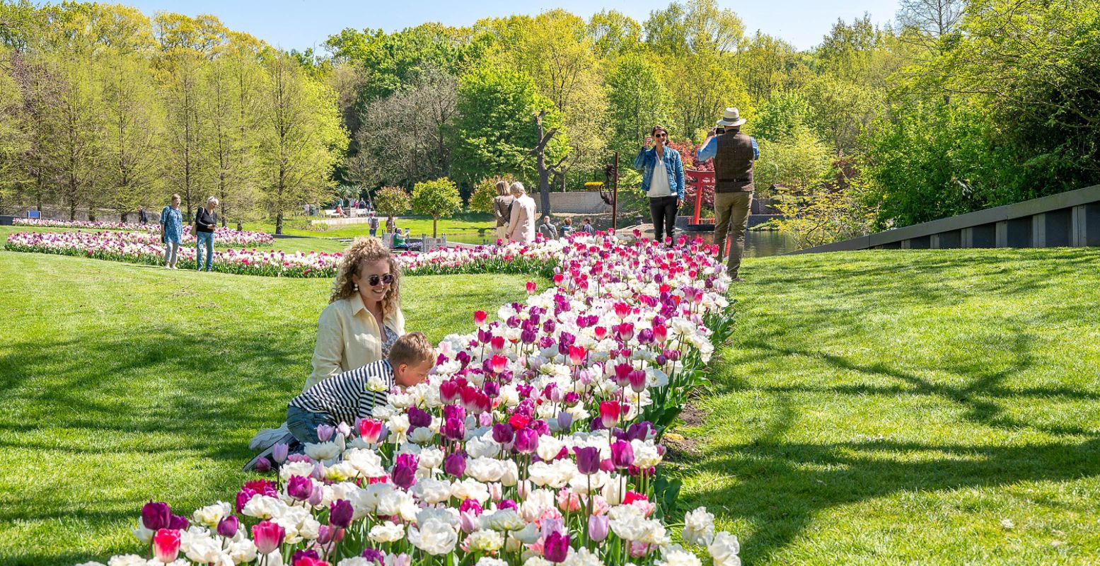 Volg het meterslange tulpenlint en geniet van de duizenden tulpen. Foto: Kasteeltuinen Arcen © Petra Lenssen