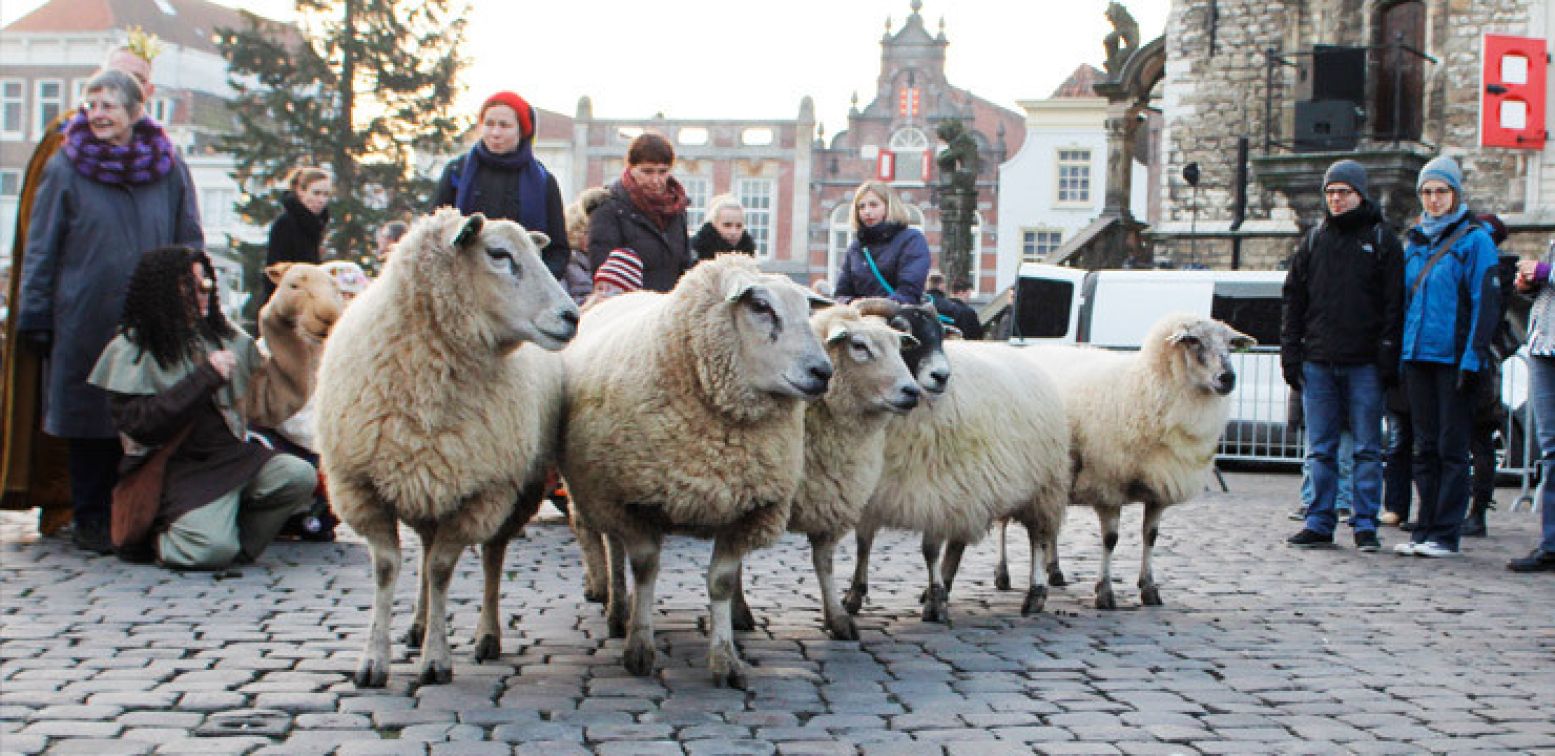 Ook de levende kerststal is weer van de partij, te vinden achter de Waag. Credit: Astrid den Haan