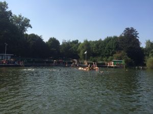 Heerlijk vertoeven midden in de natuur in zwembad De Put, Rijswijk, Zuid-Holland + 2 reviews