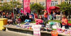 Hoezee, uitjes voor Koningsdag 2019!