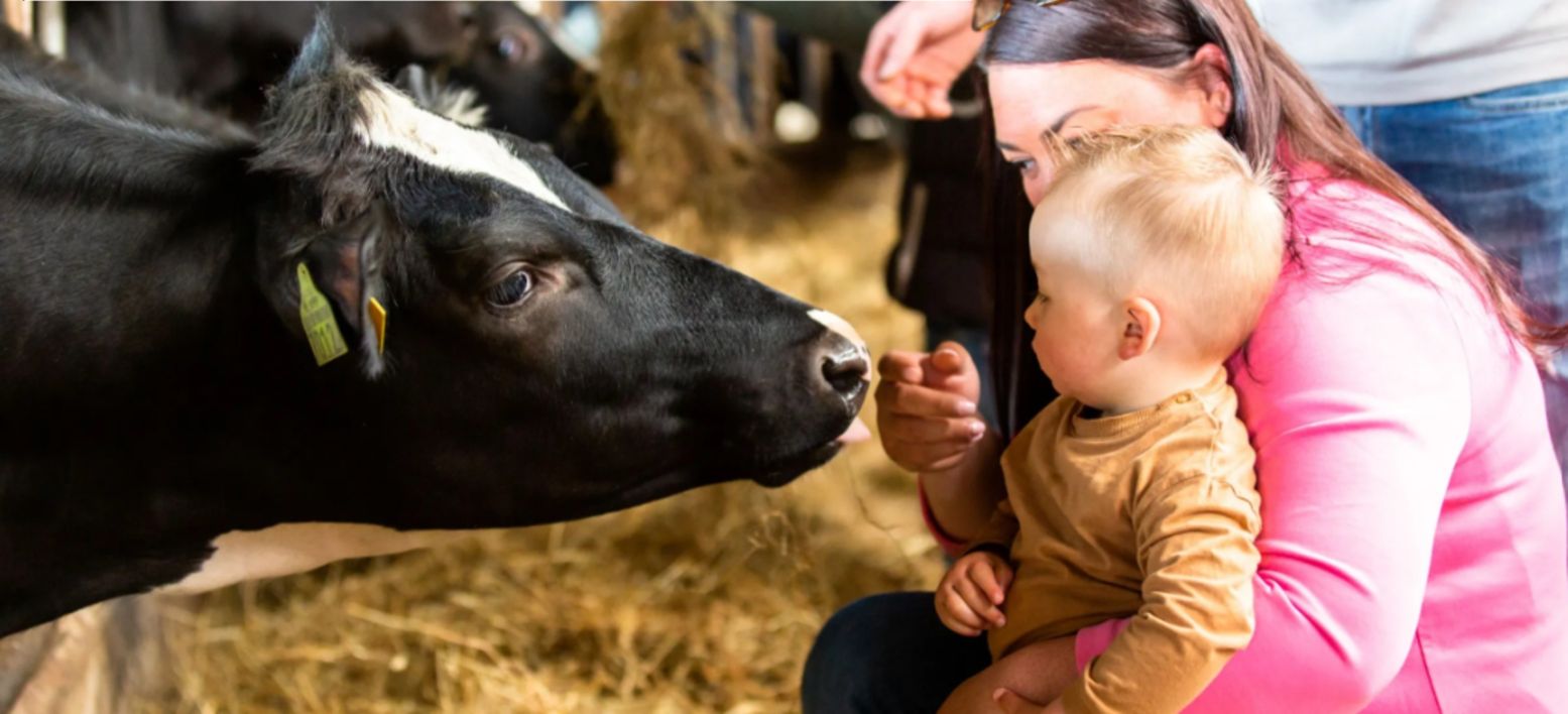 De Open Boerderijdagen zijn elk jaar een leuk, leerzaam én gratis dagje uit voor het hele gezin! Foto: © Campina De Open Boerderijdagen zijn elk jaar een leuk, leerzaam én gratis dagje uit voor het hele gezin! Foto: © Campina