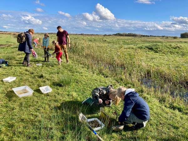 OERRR - Waterbeestjes zoeken bij Het Zwanenwater - Callantsoog OERRR - Waterbeestjes zoeken bij Het Zwanenwater - Callantsoog | Foto ge&uuml;pload door gebruiker Natuurmonumenten.