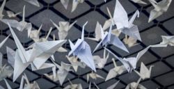 298.000 vogels van hoop