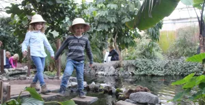 De leukste zomeruitjes met de kleinkinderen Kleinkinderen op avontuur! Foto: Dierenpark Almere Jungle © Mike van Mourik