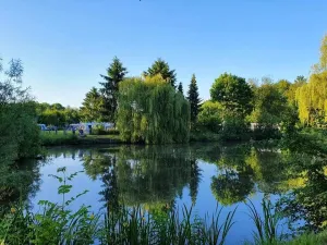 Camping Veldzicht
