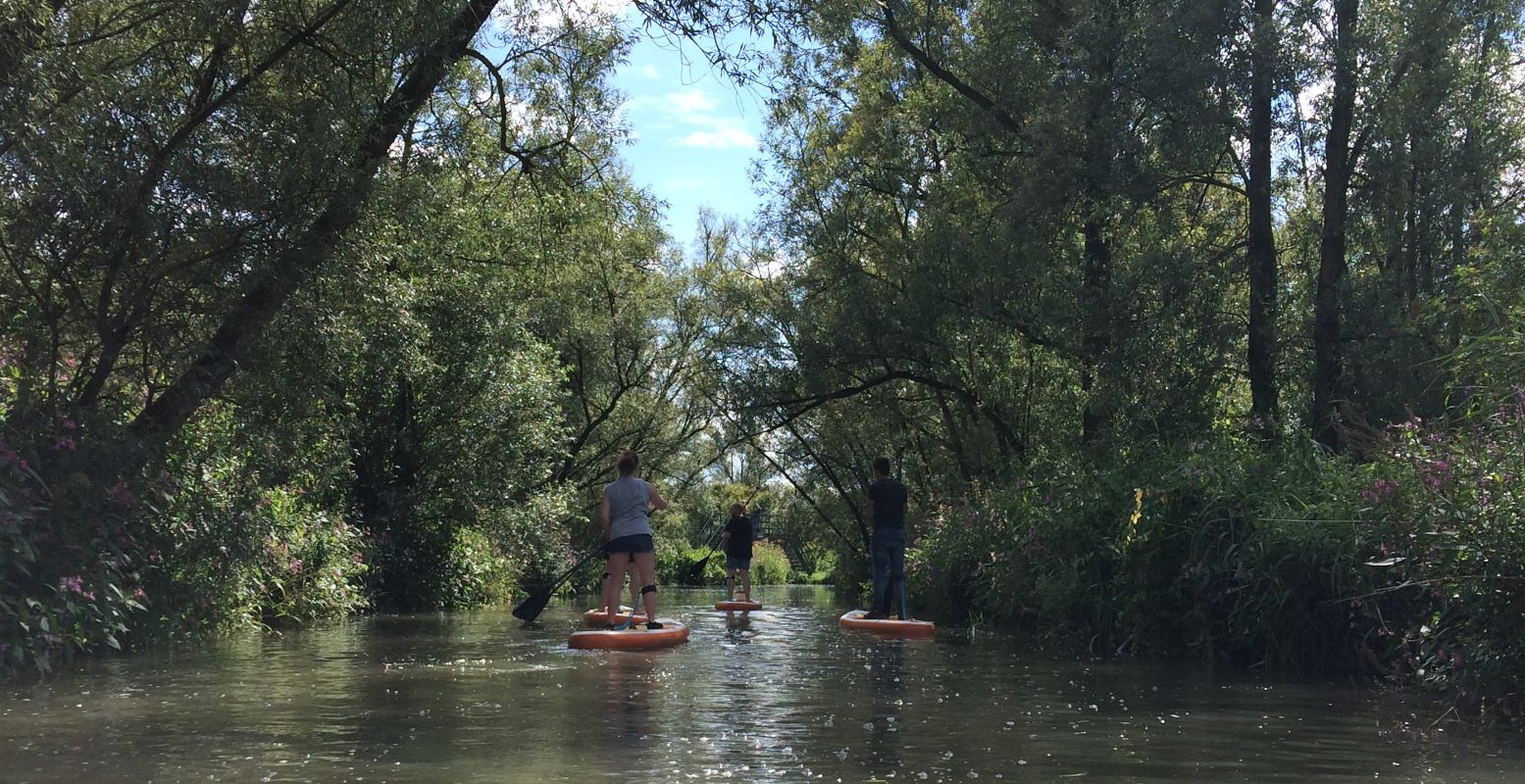 Peddel door de smalle kreekjes van de Biesbosch. Foto: Biesboschcentrum Dordrecht