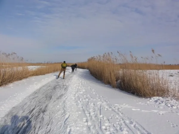 Schaatsen in het Ilperveld