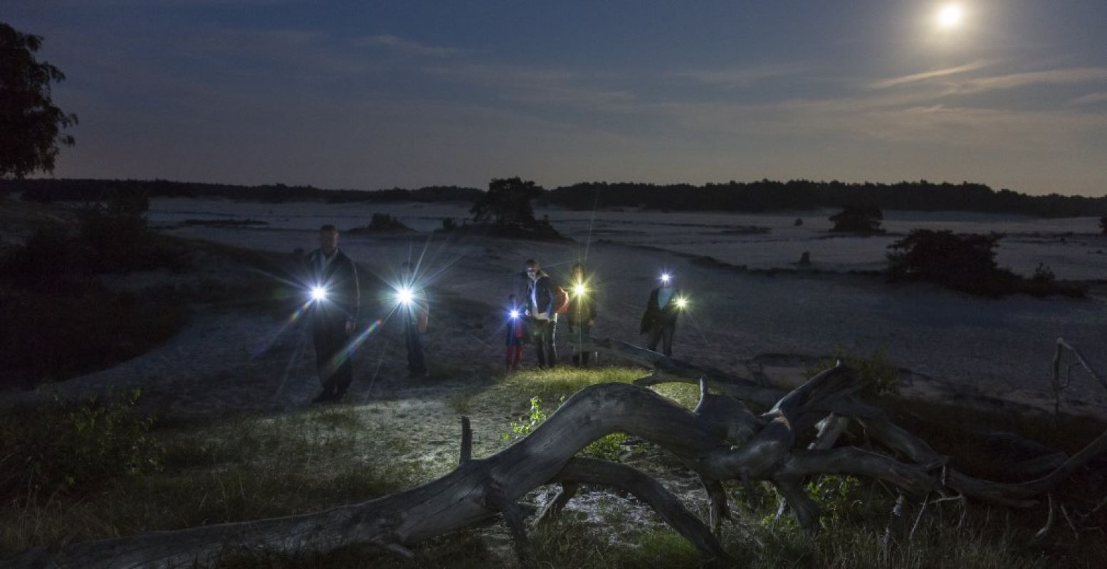 Ga op avontuur in de nacht, gewapend met zaklamp. Foto: Natuurmonumenten © Andries de la Lande Cremer