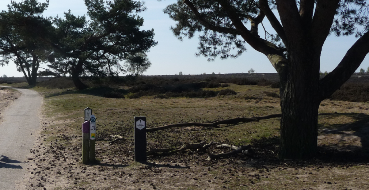Wandel mee over de Veluwe. Foto: DagjeWeg.NL Wandel mee over de Veluwe. Foto: DagjeWeg.NL