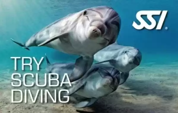 Try scuba bij Endless Diving Ede De foto behoort toe aan SSI