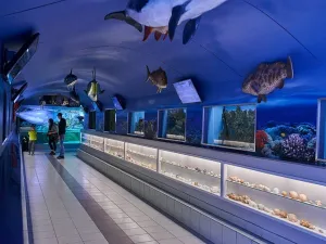 Foto: Zee Aquarium Â© Lyone Peperkamp