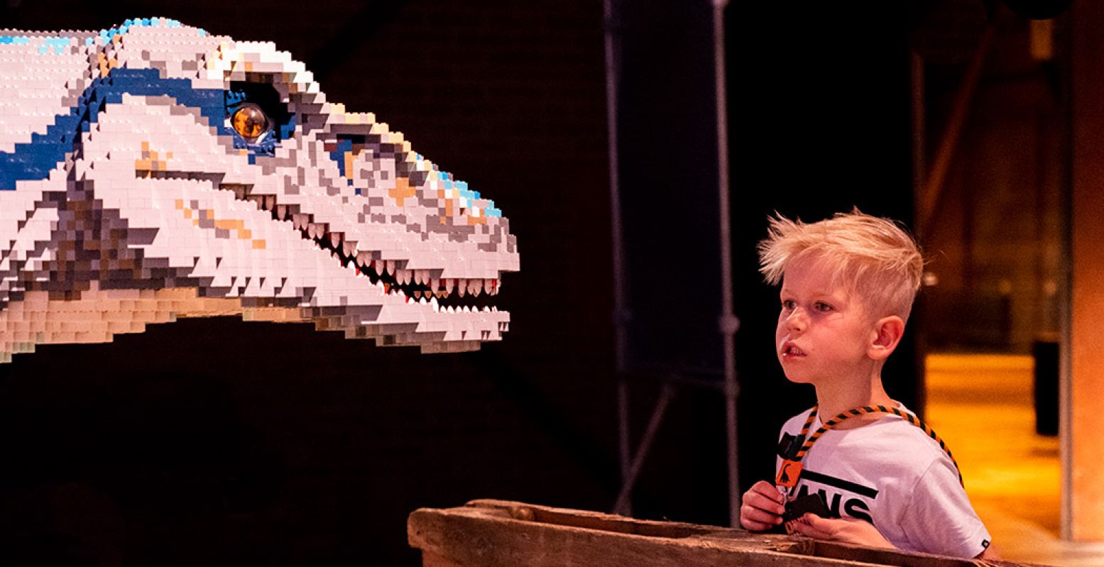 Beleef de dag van je leven in de DinoFabriek. Een echte experience met theater, doe-activiteiten en natuurlijk een heleboel dino's. Allemaal opgebouwd uit zo'n 2 miljoen steentjes. Foto: De DinoFabriek © Mira Meijer