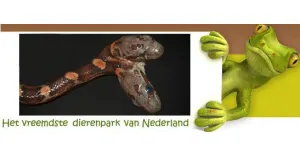 Goedkoop dagje uit Dierenpark De Oliemolen heeft bijzondere dieren.. Foto: DagjeWeg.NL