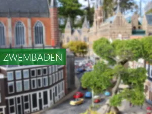 Reynaertland Paardentram voor het mooie stadhuis van Middelburg. Foto: Stalhouderij Labrujere-Boone
