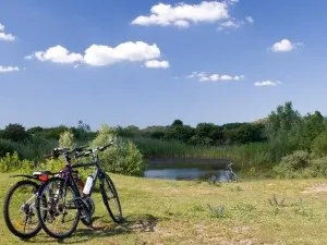 Trek eropuit. Foto: Behind The Beach.