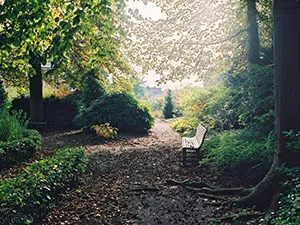 Geniet van de mooie en grote kloostertuin. Foto: Het Klooster Breda