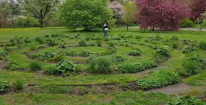 Wageningen: de favorieten van Jonna Het bloemen- en plantendoolhof in Arboretum Belmonte is daar 'achtergebleven' na één van de Beelden op de Berg zomerexposities. Foto: DagjeWeg.NL @ Tonny van Oosten