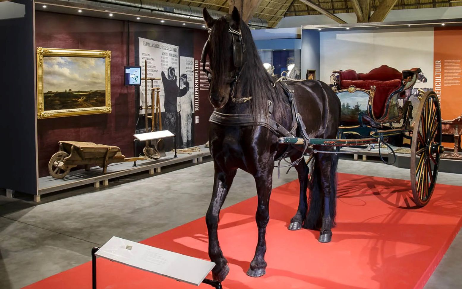 Vanaf juni kun je mee op een virtuele tour met in de hoofdrol het Friese paard Keje fan 'e Kilewier. Foto: Fries Landbouwmuseum Vanaf juni kun je mee op een virtuele tour met in de hoofdrol het Friese paard Keje fan 'e Kilewier. Foto: Fries Landbouwmuseum