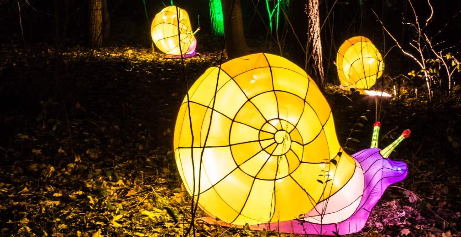 Ontdek lichtgevende slakken bij Burgers' Zoo. Foto: Burgers' Zoo