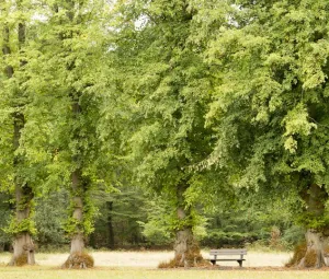Kinderexcursie spelen en wandelen Foto geüpload door gebruiker Geldersch Landschap en Kasteelen