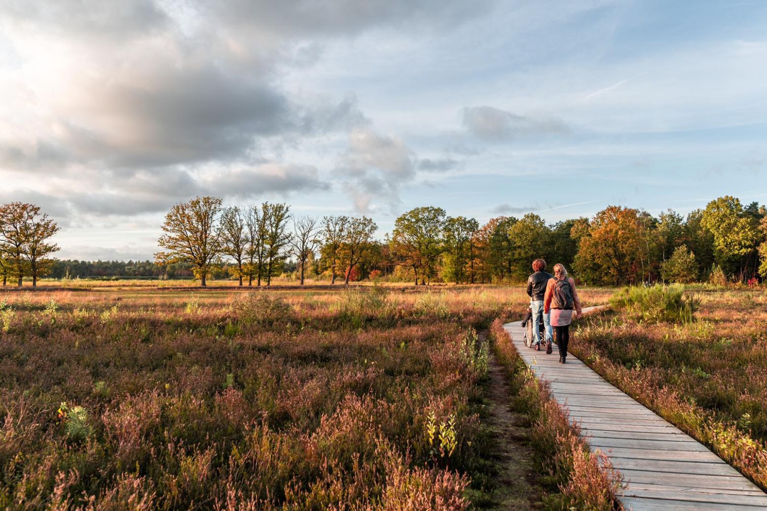 Het Vlonderpad in het Mastbos. Foto: Breda Marketing