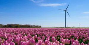 DW Awards: uitmuntende uitjes uit Flevoland Wat doe jij het liefst in Flevoland? Foto: Stephan van de Schootbrugge via  Unsplash 