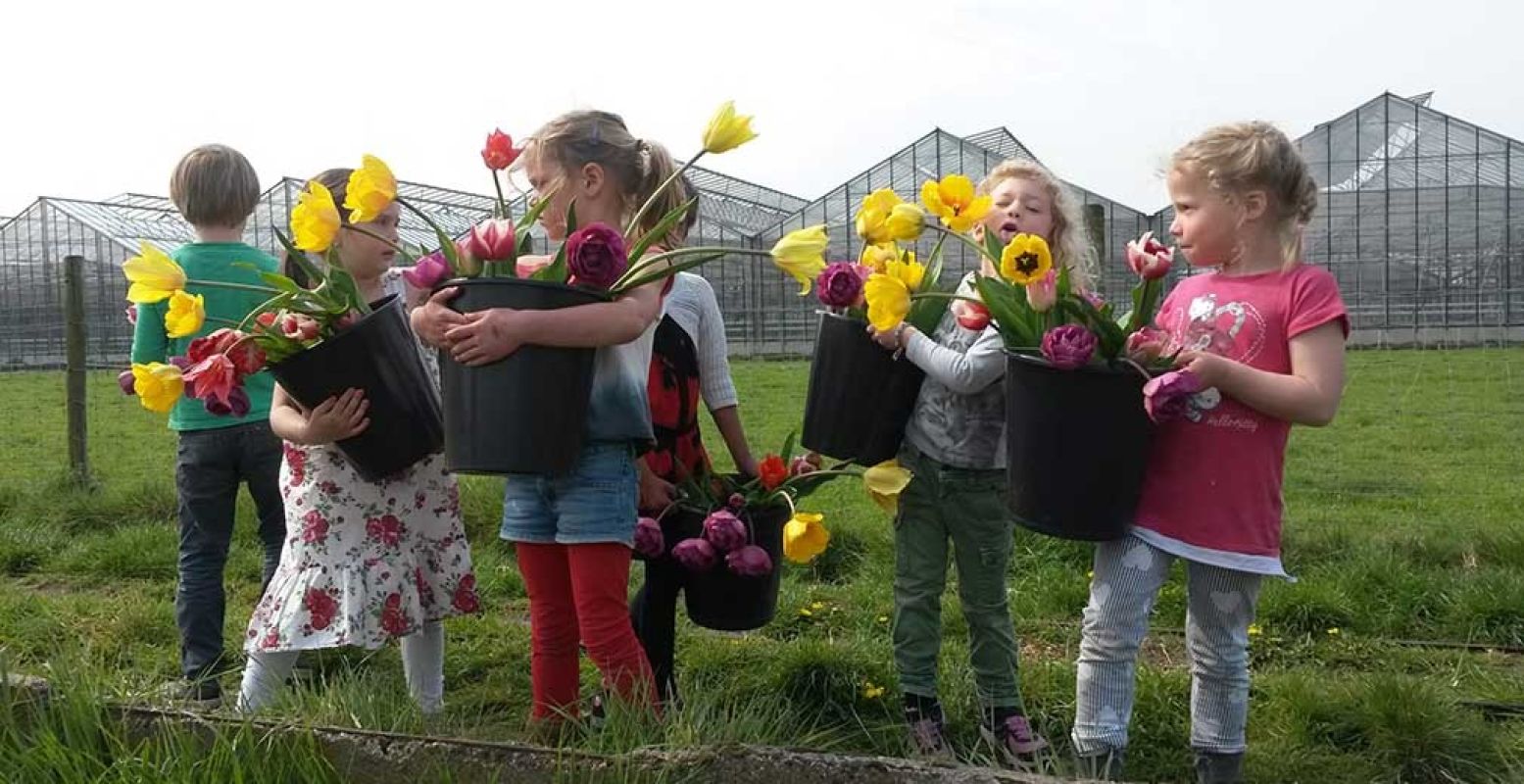 Tulpen plukken bij de Zomerbloemen Pluktuin tijdens Pasen. Met bol en al. Foto: Zomerbloemen Pluktuin © Anne-Marie Fontijn