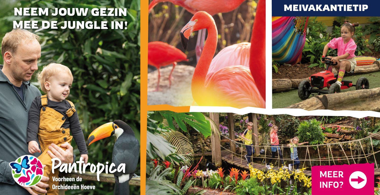 Pantropica