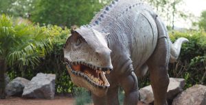 Over de foto: Dino's in allerlei soorten en maten komen naar Dinoland in Zwolle. Dino's in allerlei soorten en maten komen naar Dinoland in Zwolle.