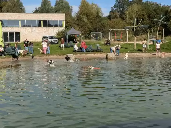 Zwemmen voor honden in het natuurlijke buienbad Zwemmen voor honden. Foto: Badepark Bentheim