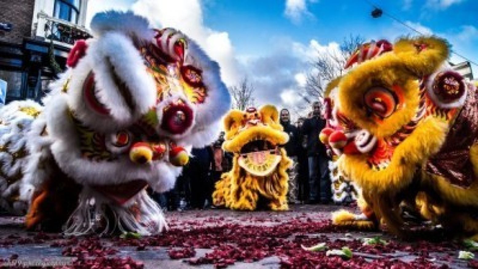 Vier Chinees Nieuwjaar in Chinatown Amsterdam! Foto: Liu He Men Kung Fu School