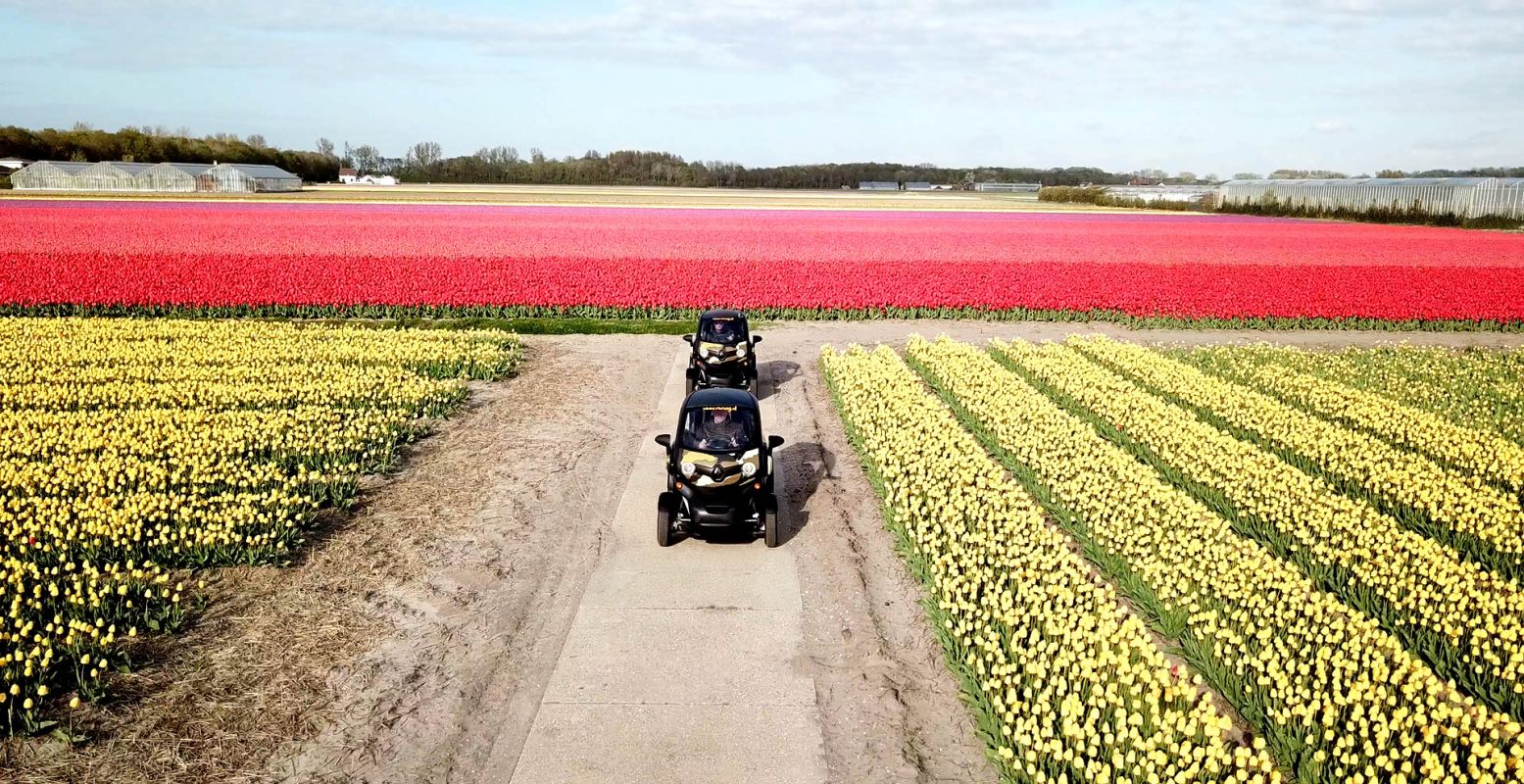 Volg de Tulpen Tour van Renzy.NL en rijd door de bollenvelden. Foto: Renzy.NL